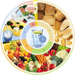 DGE-Ernährungskreis®, Copyright: Deutsche Gesellschaft für Ernährung e. V., Bonn